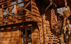 Apartament Sosnowy Domek Piętro Zator Graboszyce